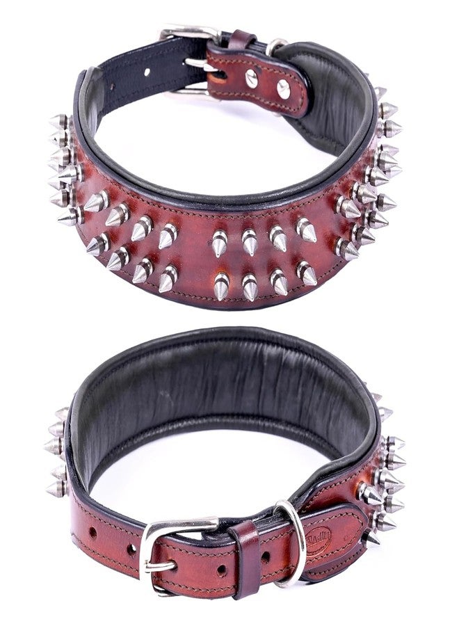 طوق كلاب من عادل ذو مسامير، عرض 2 بوصة، طوق كلاب أصلي من الجلد يناسب كلاب البيتبول والماستيف وكلاب الصيد وكلاب الهاسكي - مقاس XL، بني - Image 1